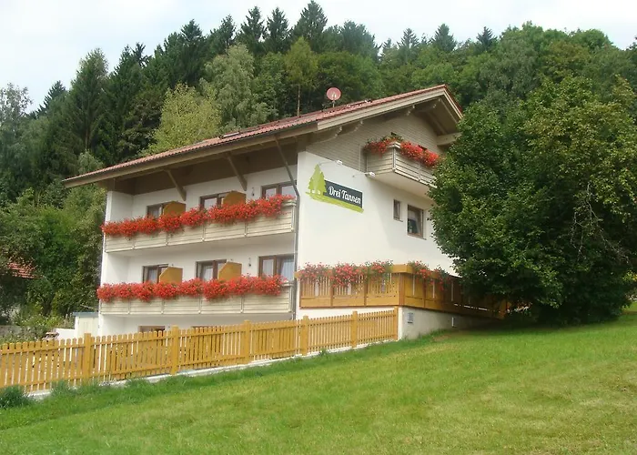 Drei Tannen