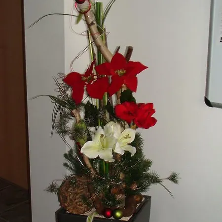 Drei Tannen Guest house
