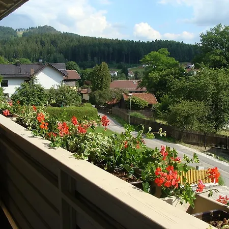 Gasthof Drei Tannen 4*