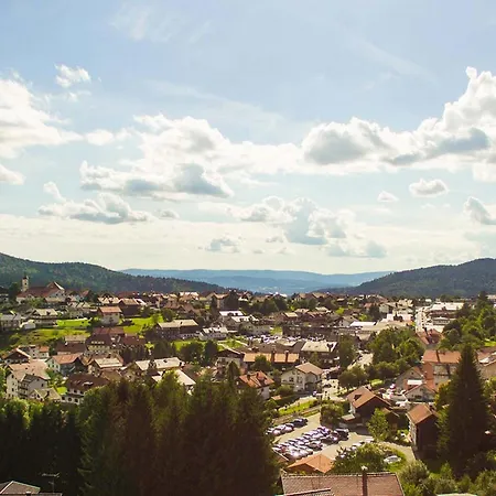 Drei Tannen Guest house 4*